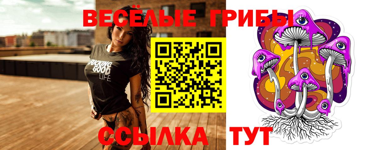 Псилоцибиновые грибы GOLDEN TEACHER Кызыл
